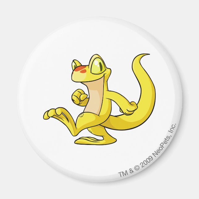 Techo Yellow Magnet (Vorne)