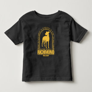 Ted Lasso AFC Richmond Gold Arted Logo Kleinkind T-shirt