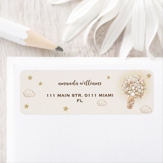 Teddy Bär in den Heißluftballons geschlechtsneutra (Insitu)