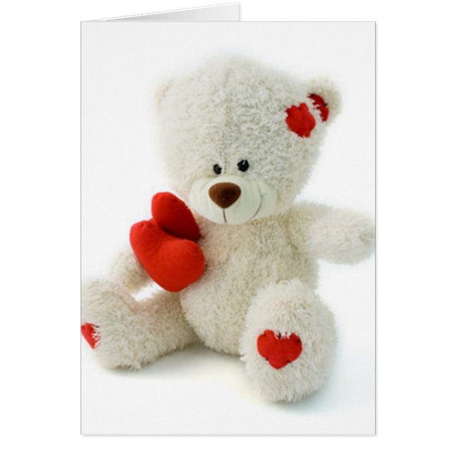 *Teddy Bär Love* niedlicher Teddy (Vorne)