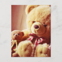 Teddy Bären Postcard