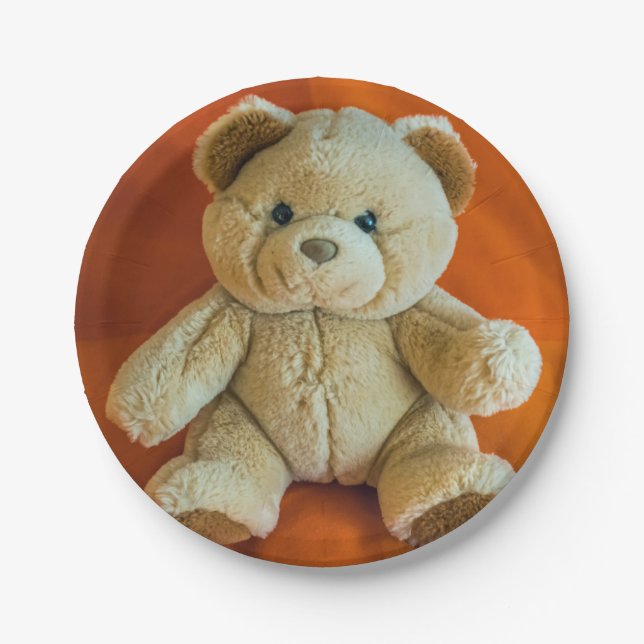 Teddy Bärenpapierplatte Pappteller (Vorderseite)