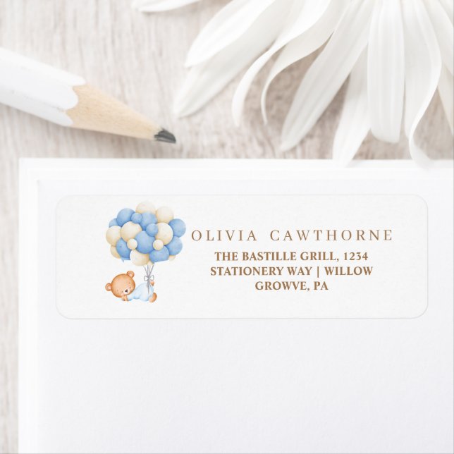 Teddy Bear Baby Dusche (Insitu)