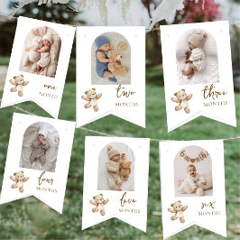 Teddy Bear First Birthday Photo Party  Wimpelkette