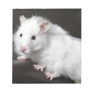 Teddy Bear Hamster Notizblock