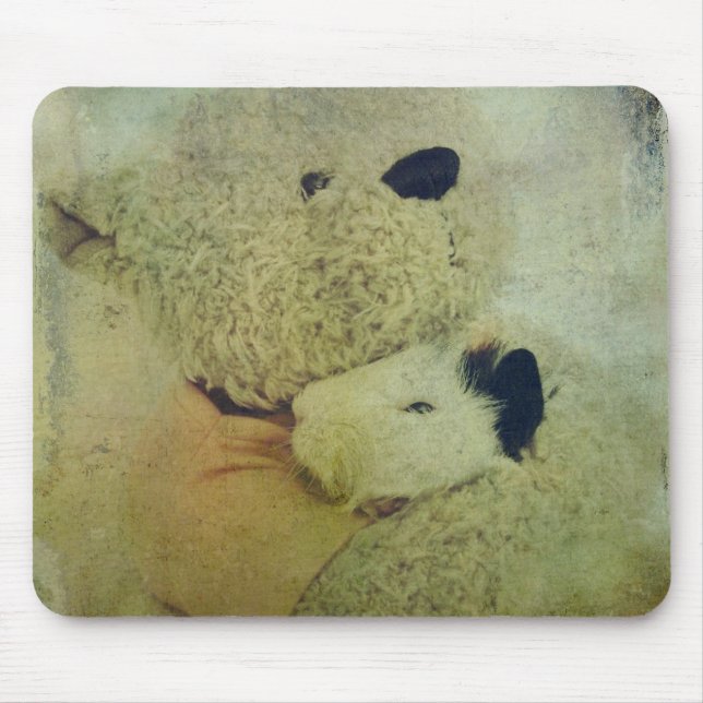 Teddy Bear hugs eine Guinea Pig Mousepad (Vorne)