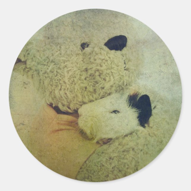 Teddy Bear hugs eine Guinea Pig Runder Aufkleber (Vorderseite)