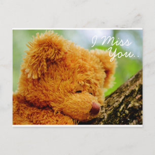 Teddy Bear I Miss You Postkarte