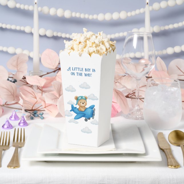 Teddy Bear in Airplane Baby Showbox Geschenkschachtel (Hochzeit)