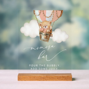Teddy Bear, Pink Hot Air Ballon, Momosa Bar Acrylschild