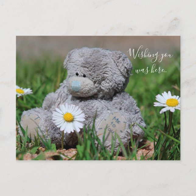 Teddy Bear Postkarte (Vorderseite)