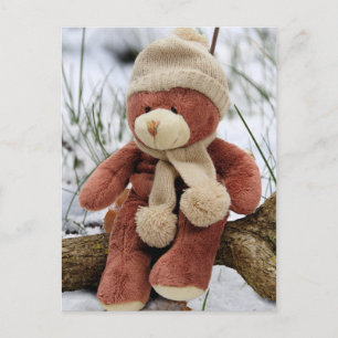 Teddy Bear Postkarte