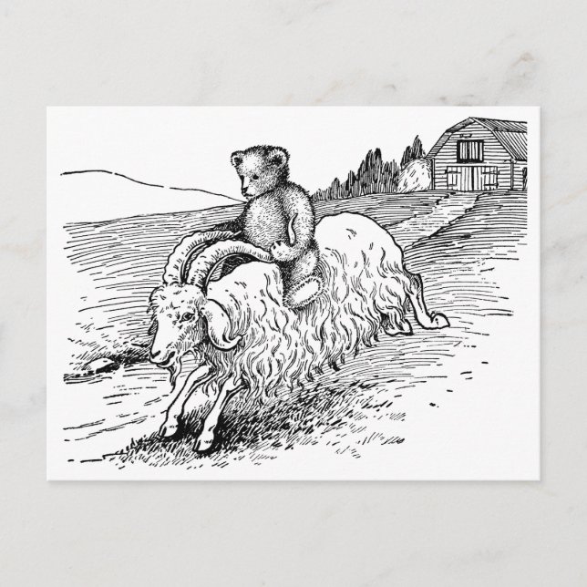 Teddy Bear Reiten einer Ziege Postkarte (Vorderseite)