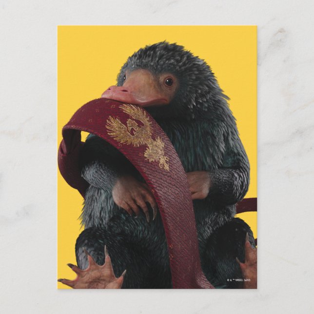 Teddy mit Krawatte Graphic Postkarte (Vorderseite)