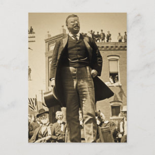 Teddy Roosevelt 1905 Stereoview Karte Vintage