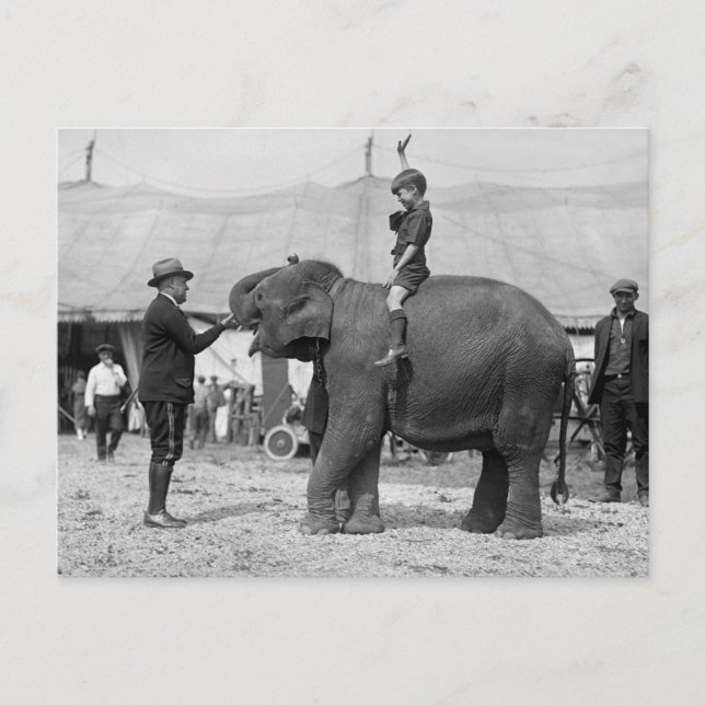 Teddy Roosevelt am Zirkus: 1924 Postkarte (Vorderseite)