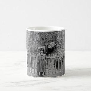 Teddy Roosevelt an der großen Baum-Waldung Santa Kaffeetasse
