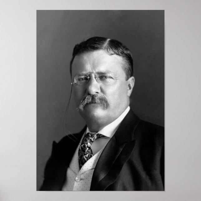 Teddy Roosevelt Portrait - 1904 Poster (Vorne)