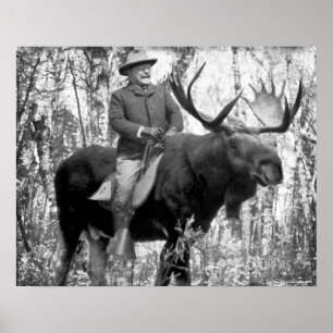 Teddy Roosevelt Reiten auf dem Weg zum Elch Poster