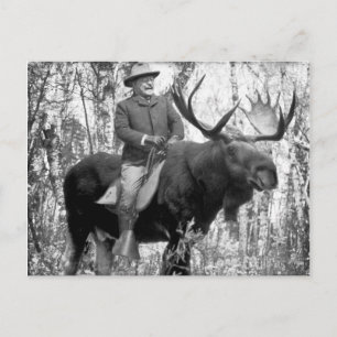 Teddy Roosevelt Reiten auf dem Weg zum Elch Postkarte