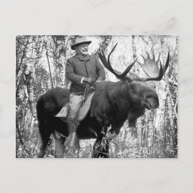 Teddy Roosevelt Reiten auf dem Weg zum Elch Postkarte (Vorderseite)