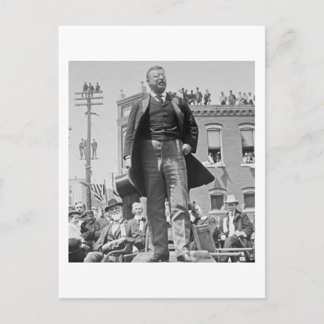 Teddy Roosevelt Stereoview Card 1905 Vintag Postkarte (Vorderseite)