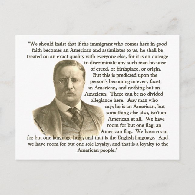 Teddy Roosevelt Zitat Postkarte (Vorderseite)