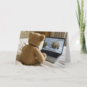 Teddybär beobachtet Grizzly auf Laptop Karte