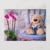 Teddybär mit Kamera-Postkarte