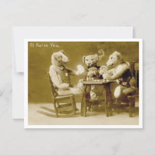 Teddybären beim Pokern Vintage Postkarte