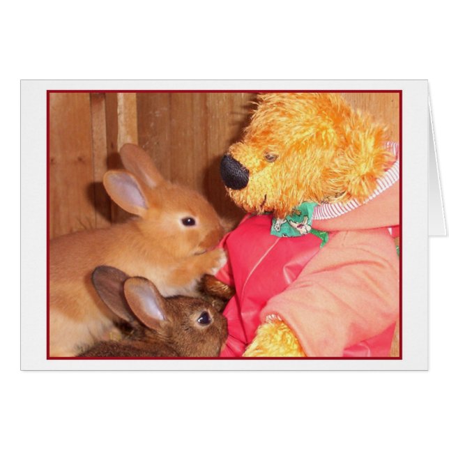 Teddys kleines Baby Häschen (Vorderseite (Horizontal))