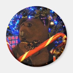 Teddys Weihnachten I Magnet