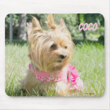 Tee Cup Yorkie Mouse Pad