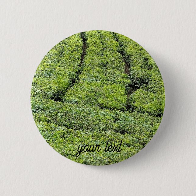 Tee-Gärten von Munnar am  Button (Vorderseite)
