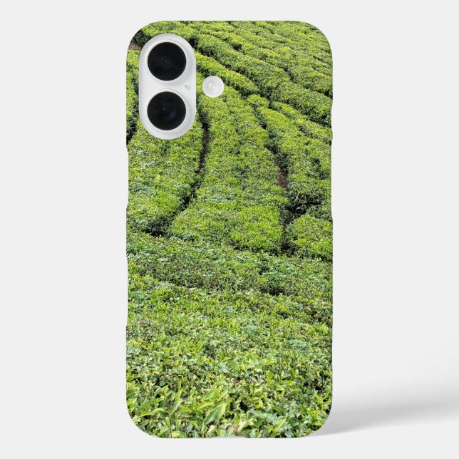 Tee-Gärten von Munnar auf Apple Iphone 16 Hülle (Rückseite)