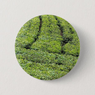 Tee-Gärten von Munnar auf Button