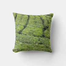 Tee-Gärten von Munnar auf
