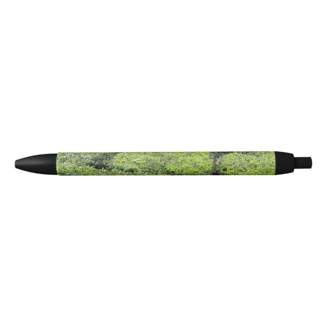 Tee-Gärten von Munnar mit Stift (Vorderseite)