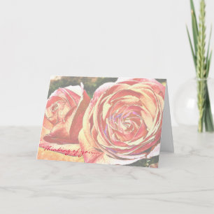 Tee-Rosen vom Garten Karte