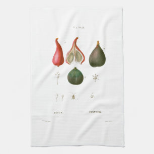 TEE-TOWEL: BOTANISCH: REDOUTÉ: Futter Geschirrtuch