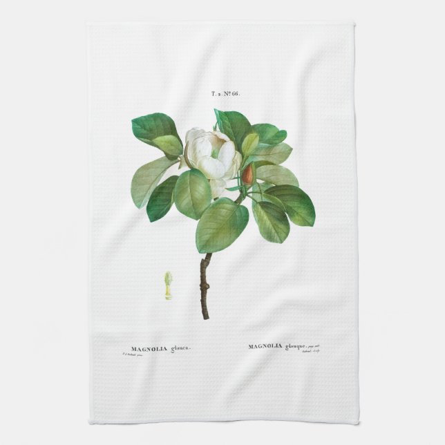 TEE-TOWEL: BOTANISCH: REDOUTÉ: MAGNOLIA GESCHIRRTUCH (Vertikal)
