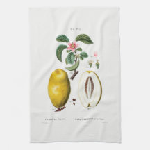 TEE-TOWEL: REDOUTÉ: QUINCE