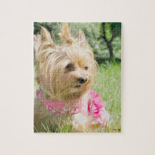 Teecup Yorkshire Terrier Jigsaw Puzzle