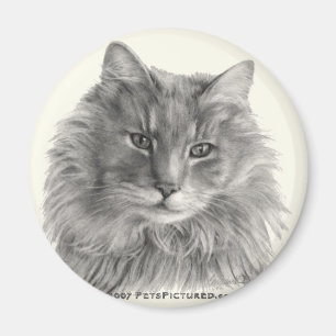 TeeGee, langhaarige graue Katze Magnet