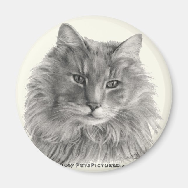 TeeGee, langhaarige graue Katze Magnet (Vorne)