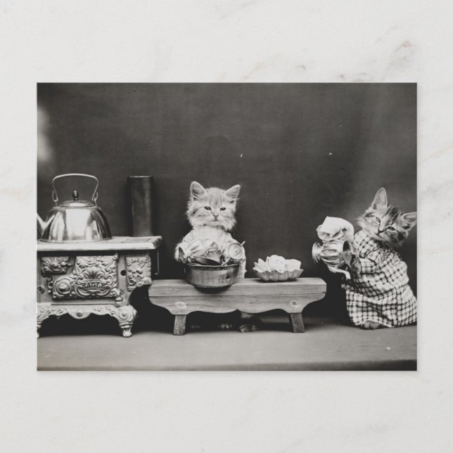 Teekanne reinigen postkarte (Vorderseite)