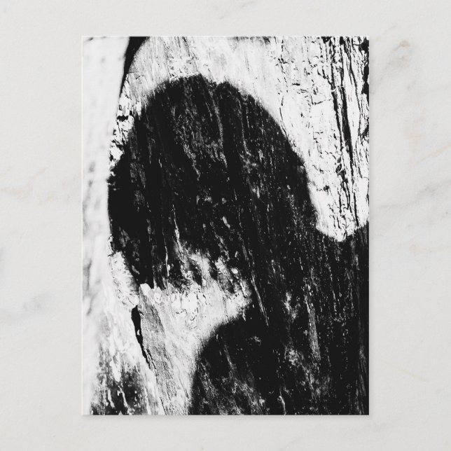 Teenagerschatten Postkarte (Vorderseite)