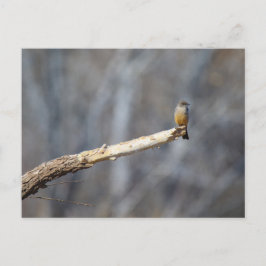 Teenie Tiny Postkarte