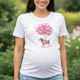 Teenie Weenie Baby Girl Dachshund Gender Reveal Tri-Blend Shirt