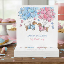 Teenie Weenie Sweetheart Dachshund Gender Reveal